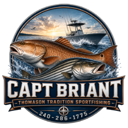 Light Tackle Fishing Guide Service