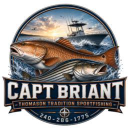 Light Tackle Fishing Guide Service